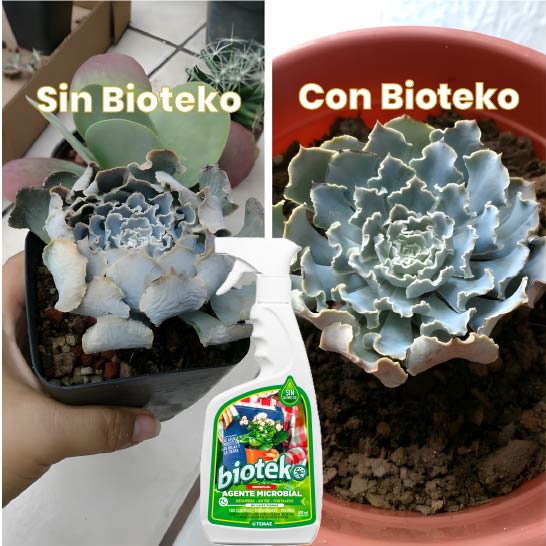 Agente Microbial fortalecedor de plantas 500mlt