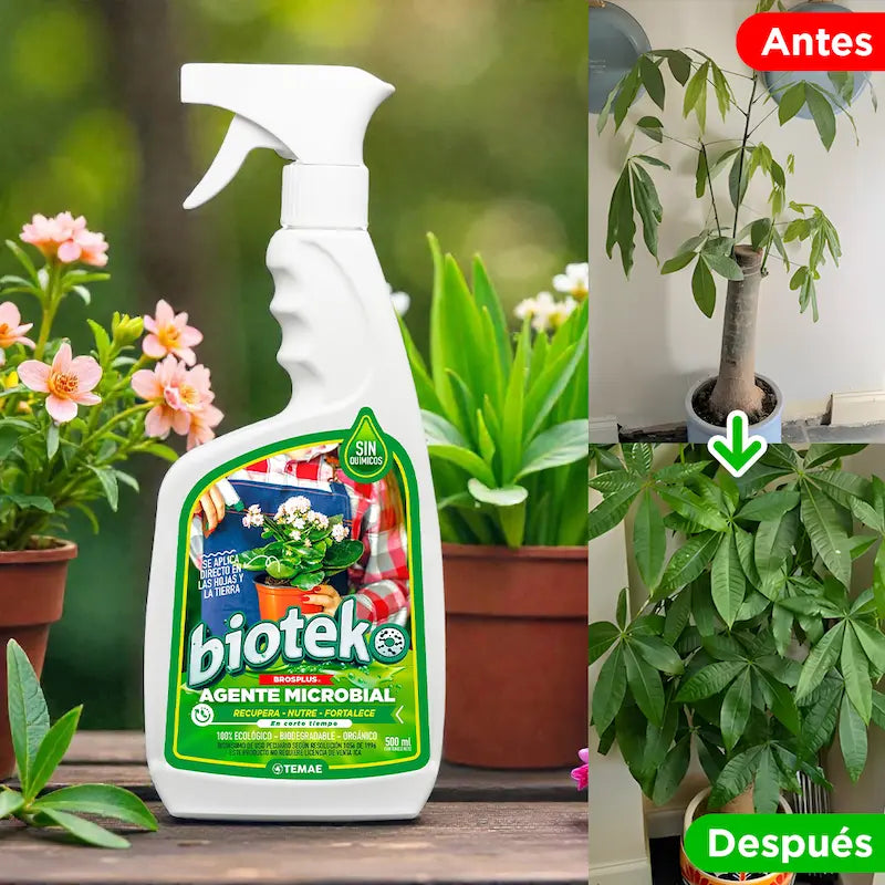 BIOTEKO PLANTAS | TU PLANTA NO NECESITA MÁS FERTILIZANTE. NECESITA VOLVER A FUNCIONAR.