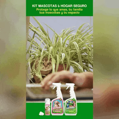 COMBO FRESCURA DURADERA | El Poder Natural para un Hogar Impecable🫧