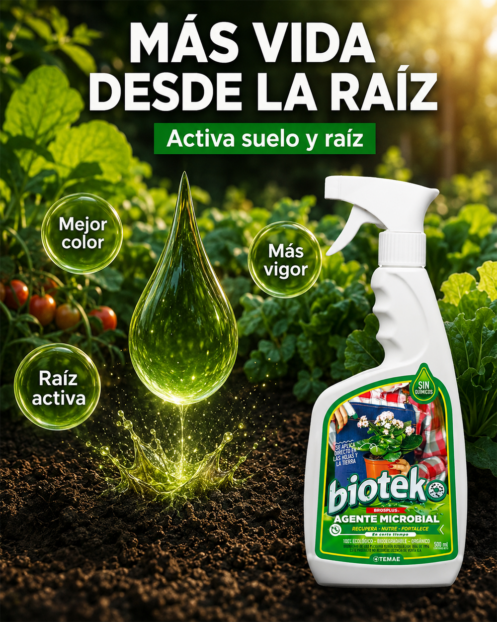 Plantas ideales para Bioteko