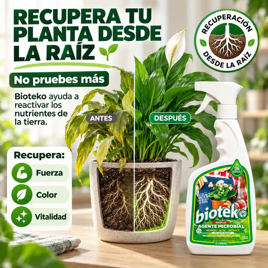 BIOTEKO PLANTAS | Tierra sana, plantas sanas