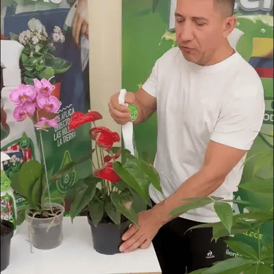 Agente Microbial fortalecedor de plantas 500mlt 🌿