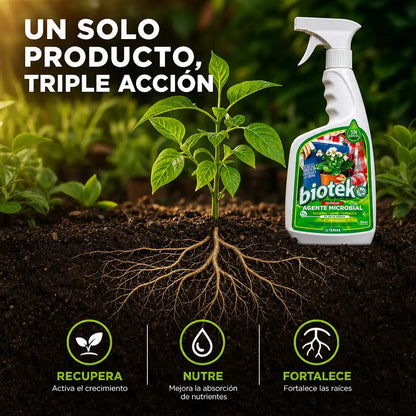 BIOTEKO PLANTAS | Recupera plantas débiles desde la raíz