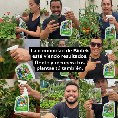 BIOTEKO PLANTAS | Recupera plantas débiles desde la raíz