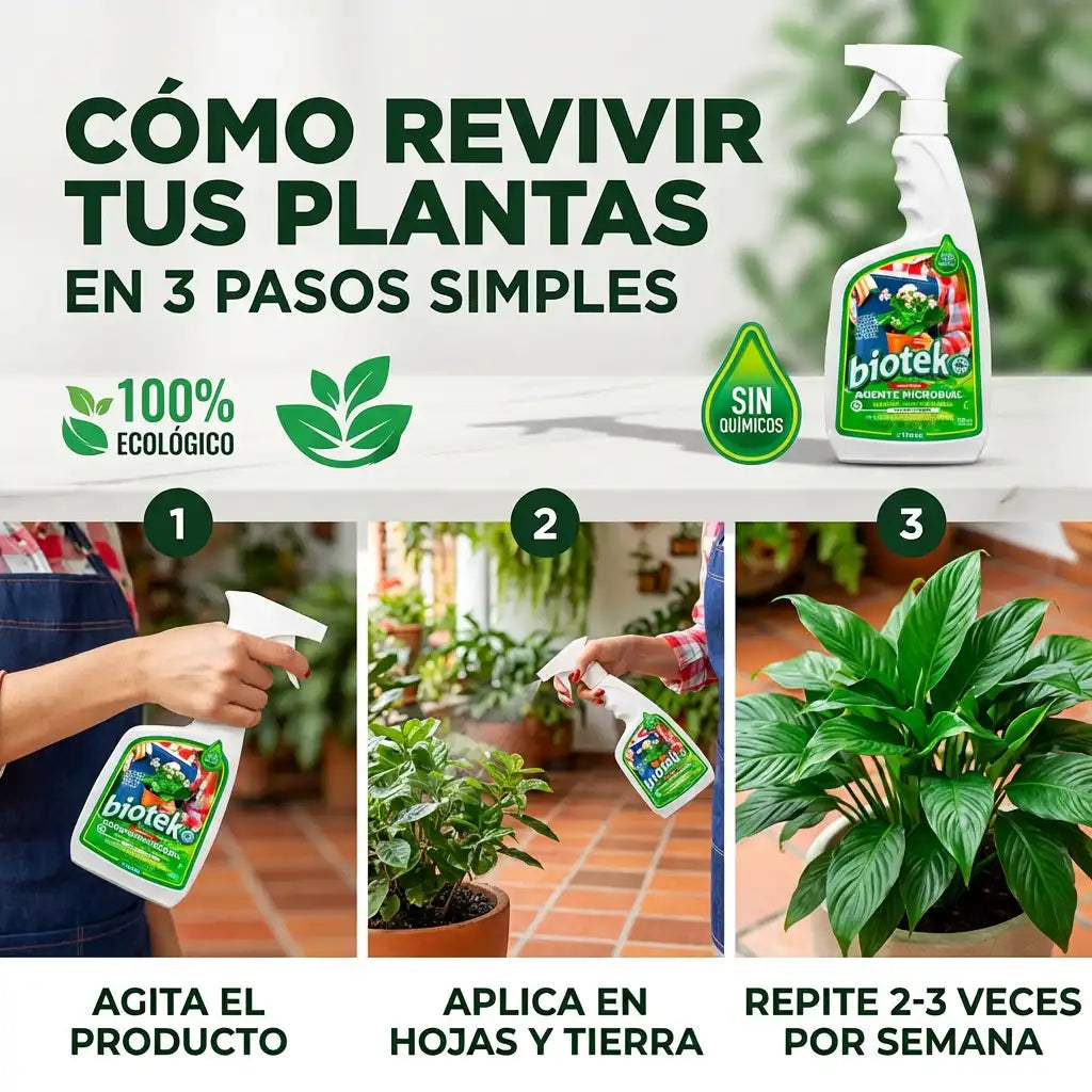 BIOTEKO PLANTAS | Recupera plantas débiles desde la raíz