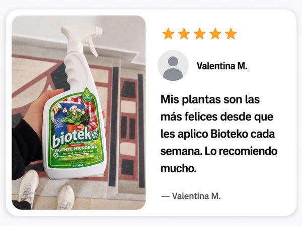 Gustavo A., Bucaramanga