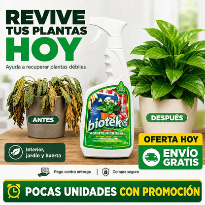 🌱 BIOTEKO PLANTAS | Fortalece plantas débiles, amarillas o que dejaron de crecer